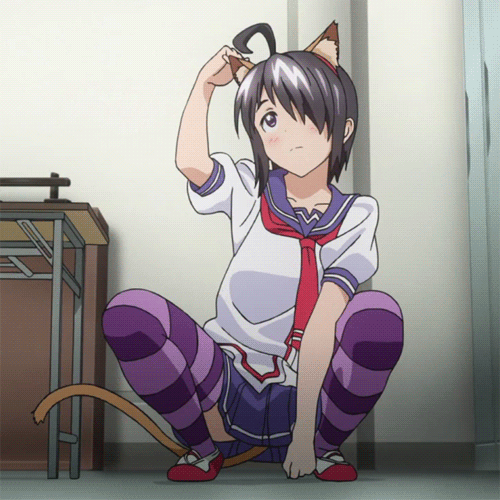 807.gif