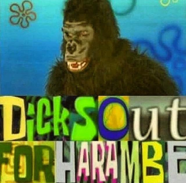 aa9.jpg