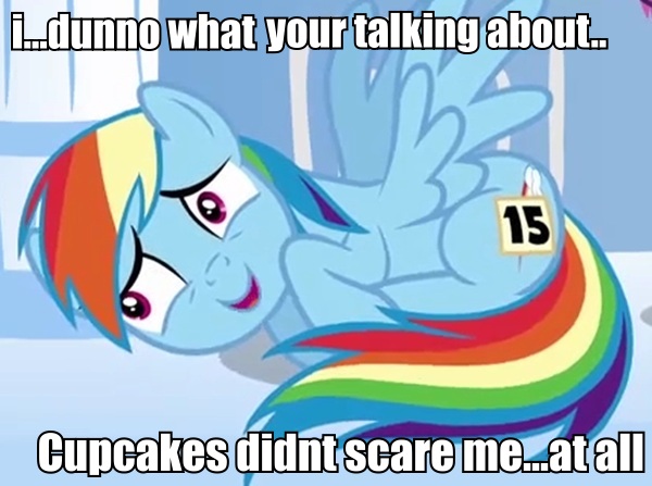 48d.jpg