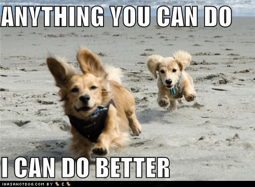 cute-puppy-pictures-anything-you-can-do-i-can-do-better.jpg
