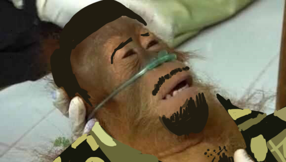 eb6.png