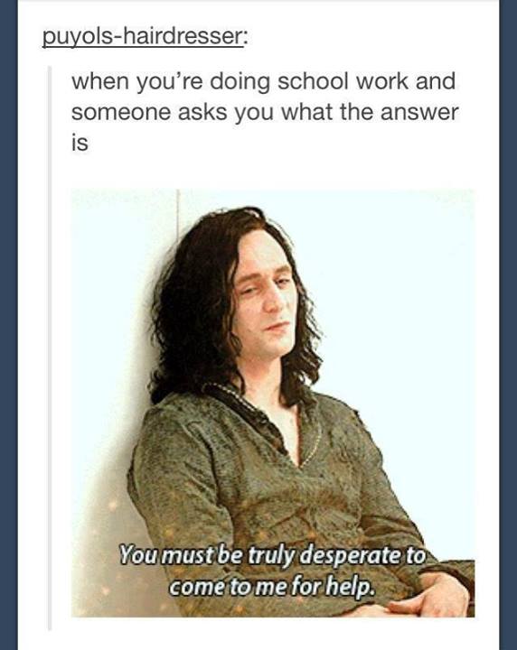 173.jpg