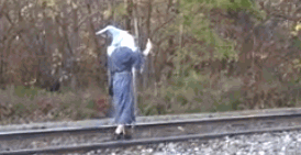 601.gif