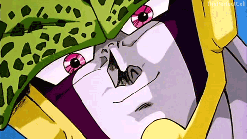 817.gif