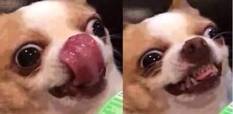 Forum Image: http://i3.kym-cdn.com/photos/images/original/000/975/871/486.jpg