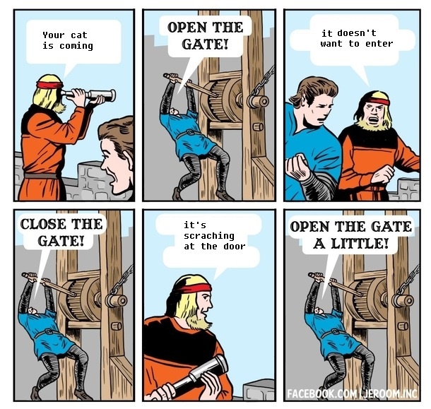 8e3.jpg