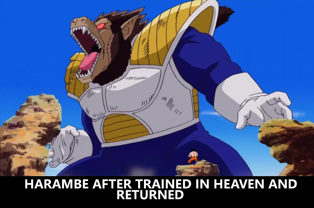 d1c.png
