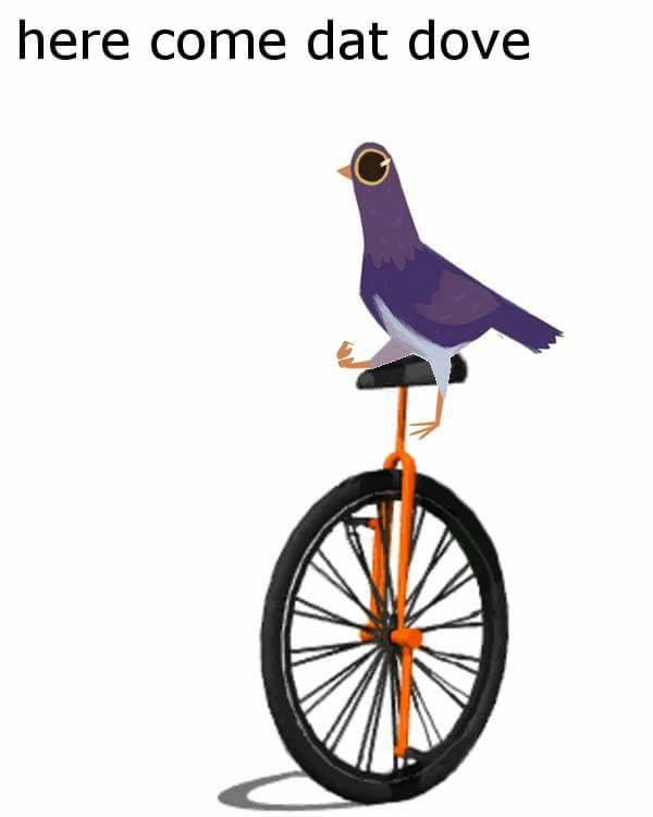 here come dat dove trash doves know your meme here come dat dove trash doves know your meme