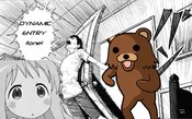 Pedobearentry