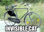 Cat-invisible-cat
