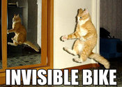 Cat-invisible-bike