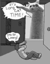 Time5