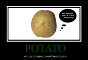 No_gay_potatoes