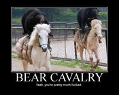 Bearcavalry
