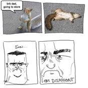 Son-disappoint-roadkill-squirrel