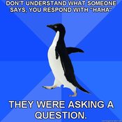 Socially-awkward-penguin-dont-understand-what-someone-says-you-respond-with-haha-they-were-asking-a8