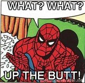 Question-spiderman-what-what-up-the-butt