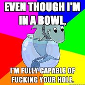 Rhyming-shark-even-though-im-in-a-bowl--im-fully-capable-of-fucking-your-hole