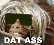 Daaaaaatass