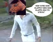 Snelskogsturkkx7