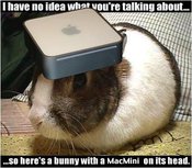 Macbunny