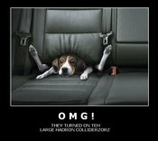 Dog_in_lhc_by_mcneilly