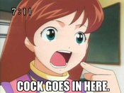 Cock_goes_in_here.sized