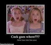 Olson-twins-demotivational-poster