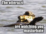 Otterazzi