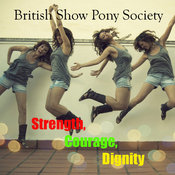 British-show-pony-society--