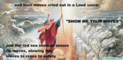Halolz-dot-com-churchoffalcon-fzero-moses-showmeyourmoves