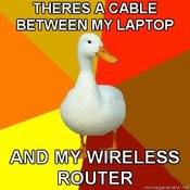 Technologically-impaired-duck-theres-a-cable-between-my-laptop-and-my-wireless-router