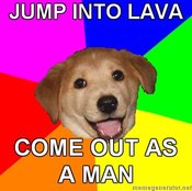 Advice-dog-jump-into-lava-come-out-as-a-man