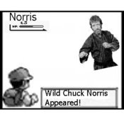 Chuck_norris_pokemon