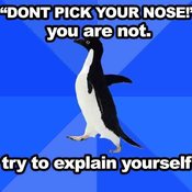 Nose1