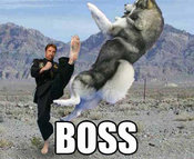 Boss-chuck