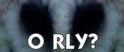 Fourth_kind_owl_o_rly