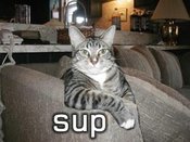 Sup