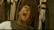 Notthebees