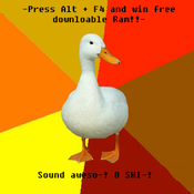 Duck