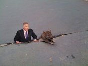 Sad_rat_sidewalk_15