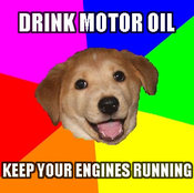 Advice_dog_drink_motor_oil