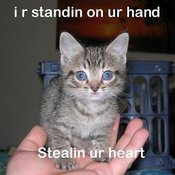 Caption_lolcats_i-r-on-ur-hand