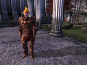 Tes4_adoringfan2