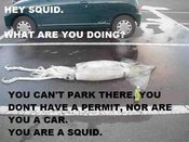 Squid-1