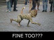 Fine_too