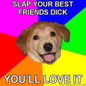 Advice-dog-slap-your-best-friends-dick-youll-love-it
