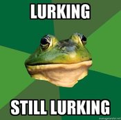 Foul-bachelor-frog-lurking-still-lurking