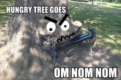 Roflbot_copy