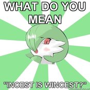 Momdevoir-what-do-you-mean-incest-is-wincest